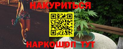 бошки Гай