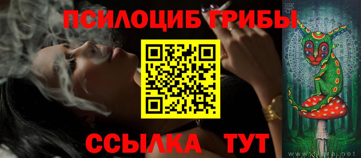 Псилоцибиновые грибы GOLDEN TEACHER  Вход с VPN  Нижний Новгород 