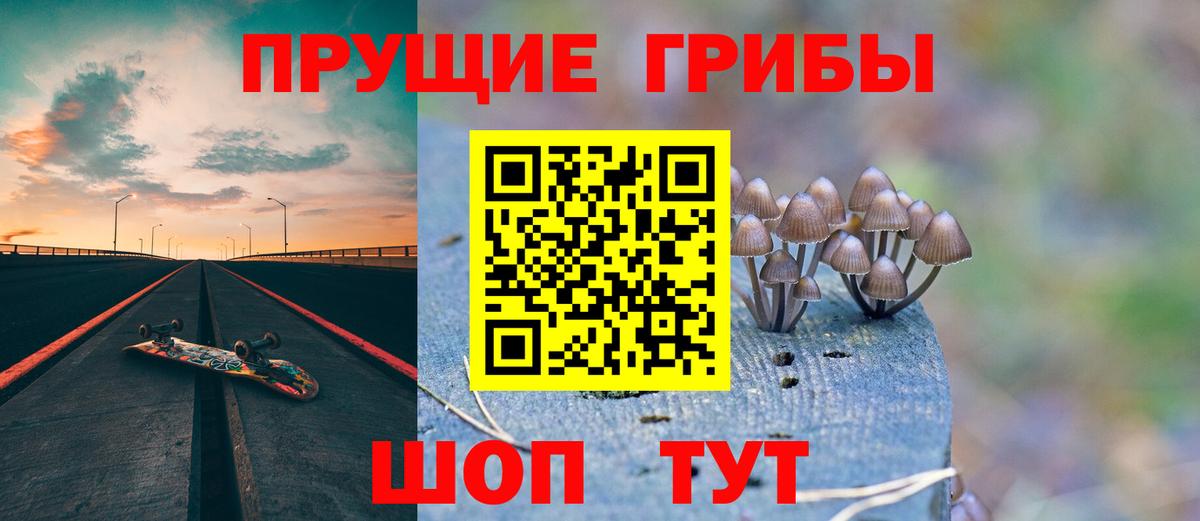 Галлюциногенные грибы MAGIC MUSHROOMS Нижний Новгород